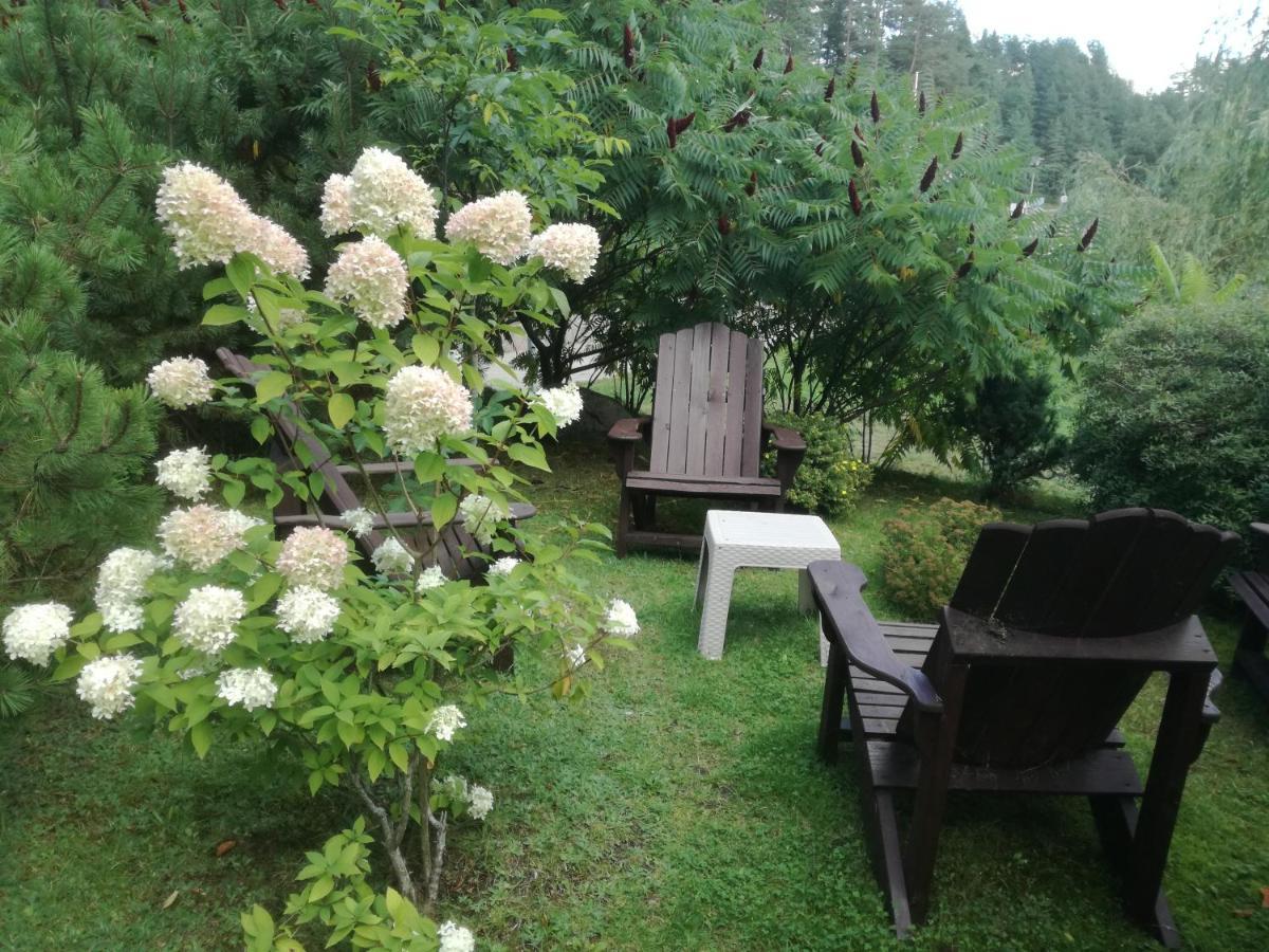 Sveciu Namai Aldaivita Ignalina Exteriér fotografie