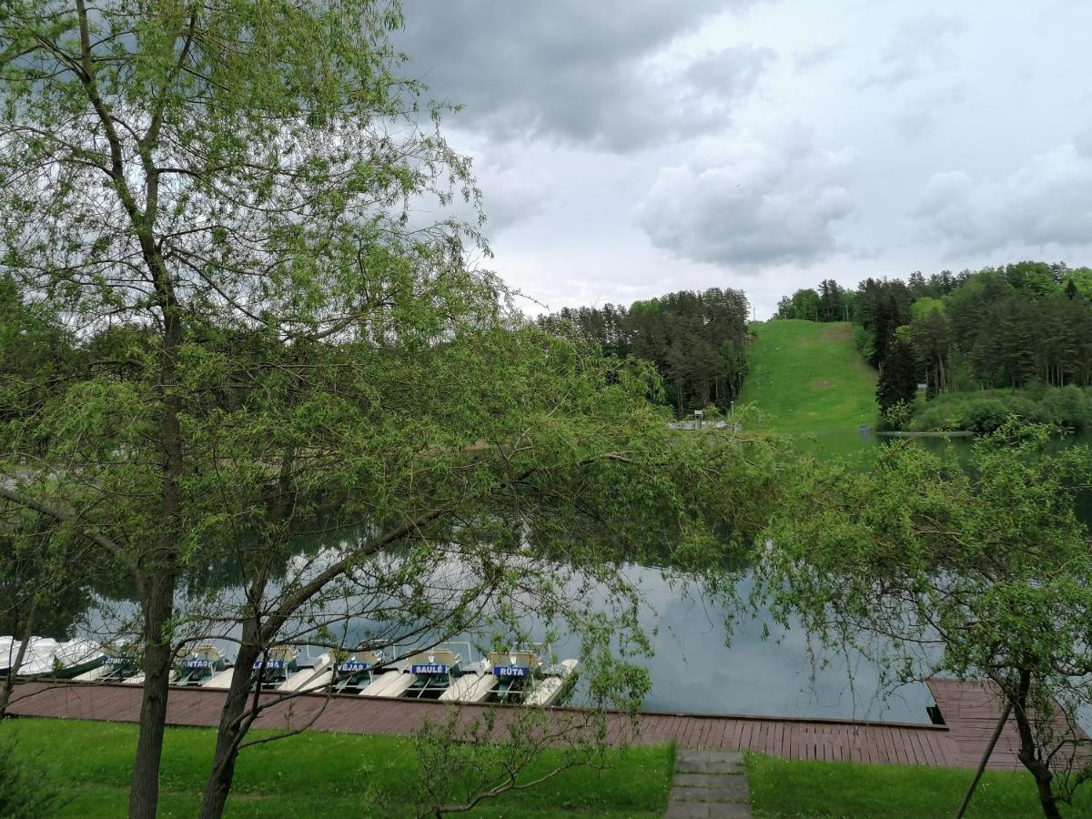 Sveciu Namai Aldaivita Ignalina Exteriér fotografie